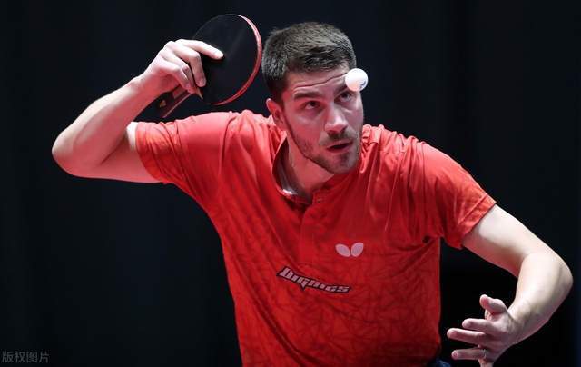 年轻组合的 年轻组合的