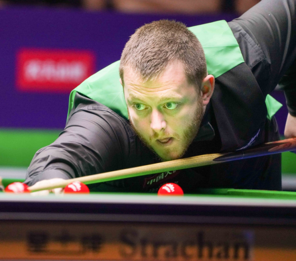 五年合约的 五年合约的